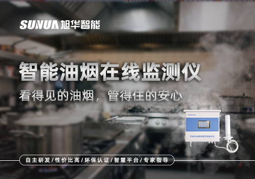 智能油烟在线监测仪：看得见的油烟，管得住的安心